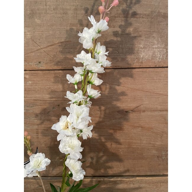 ## Ridderspoor wit - delphinium - 78 cm