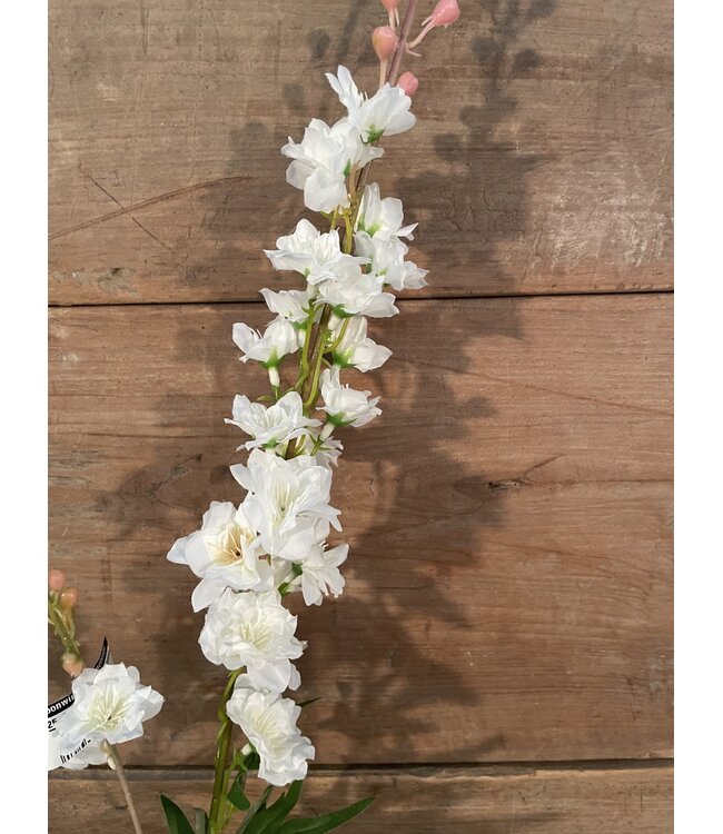 ### Ridderspoor wit - delphinium - 78 cm