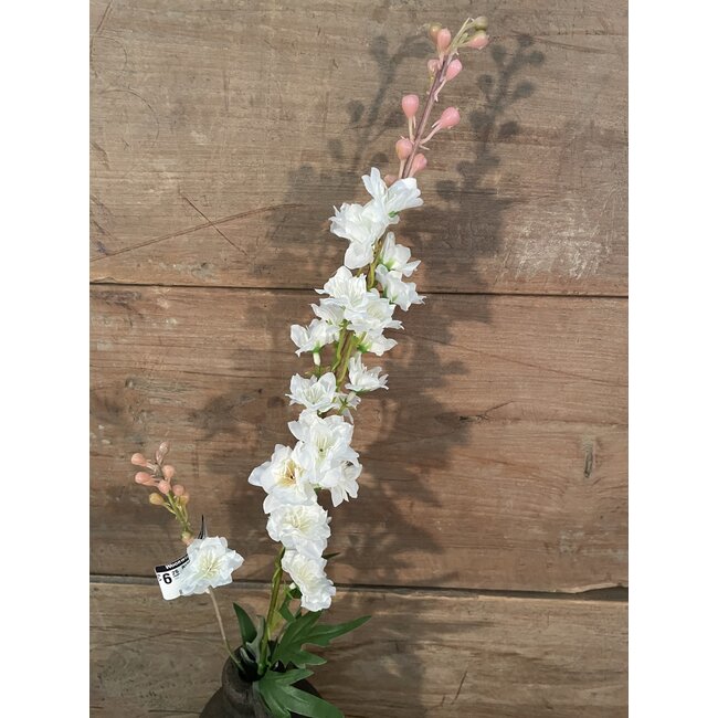 ## Ridderspoor wit - delphinium - 78 cm