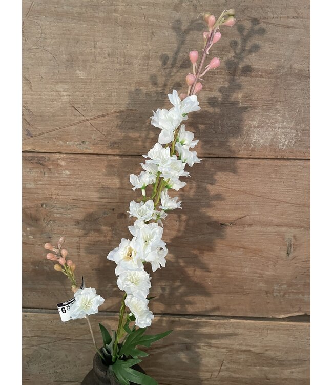 ### Ridderspoor wit - delphinium - 78 cm