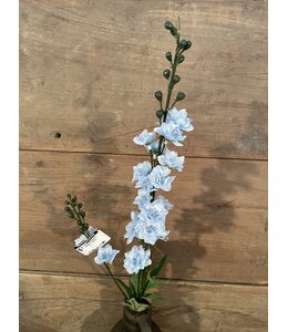 # Ridderspoor lichtblauw - delphinium - 78 cm