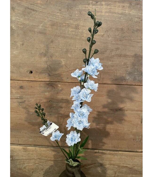 # Ridderspoor lichtblauw - delphinium - 78 cm
