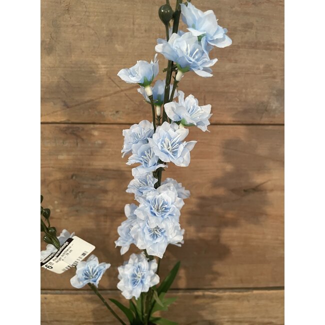 ## Ridderspoor lichtblauw - delphinium - 78 cm