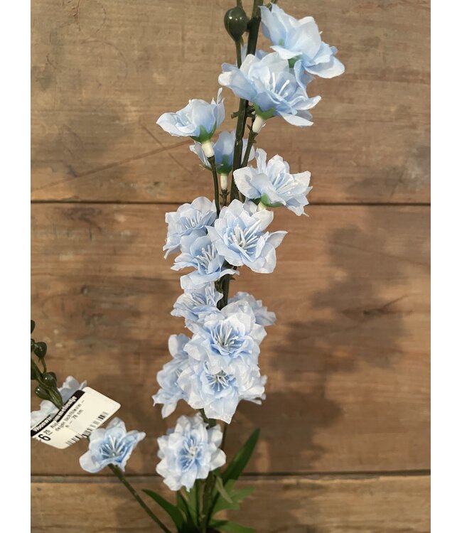 # Ridderspoor lichtblauw - delphinium - 78 cm