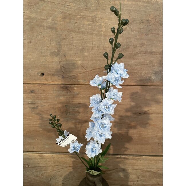 ## Ridderspoor lichtblauw - delphinium - 78 cm