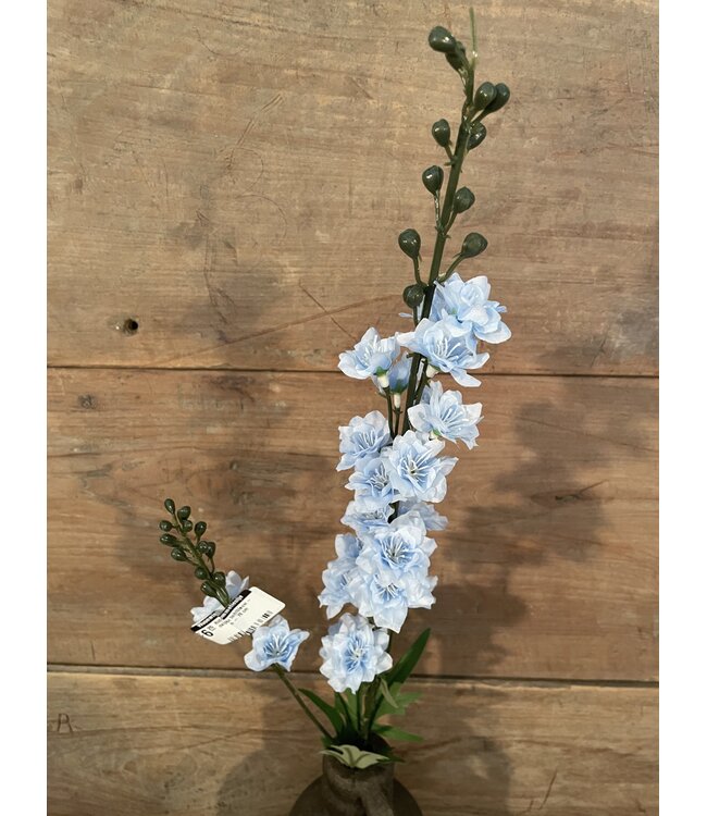 # Ridderspoor lichtblauw - delphinium - 78 cm