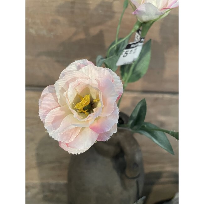 ## Mini Lisianthus Spray 56cm - roze