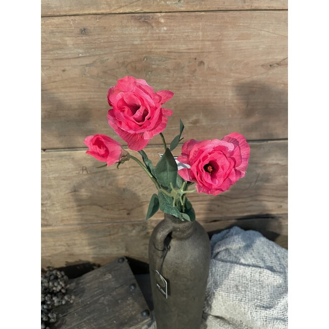 ## Roze tak - lysianthus