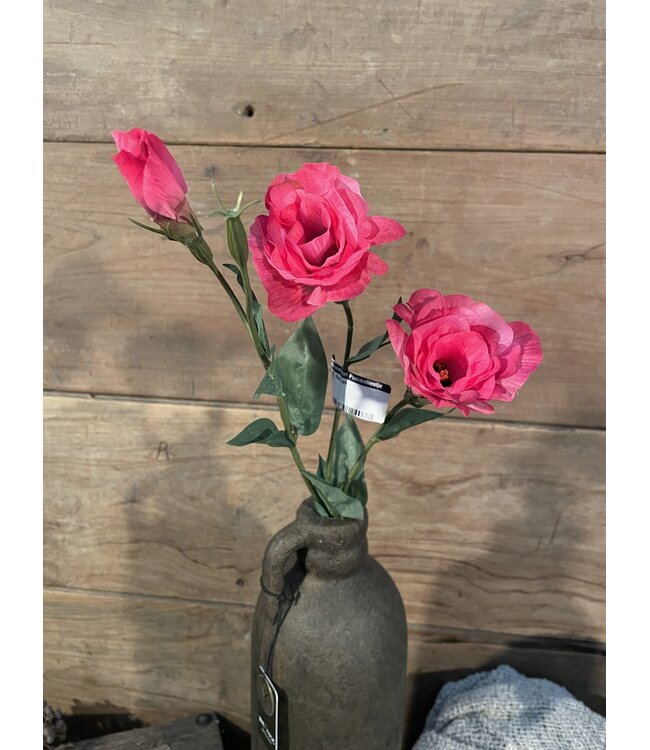Roze tak - lysianthus
