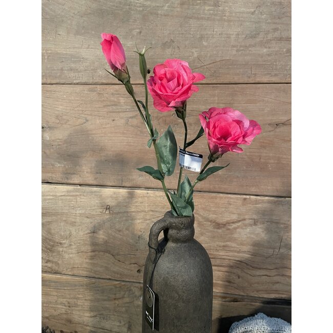 ## Roze tak - lysianthus