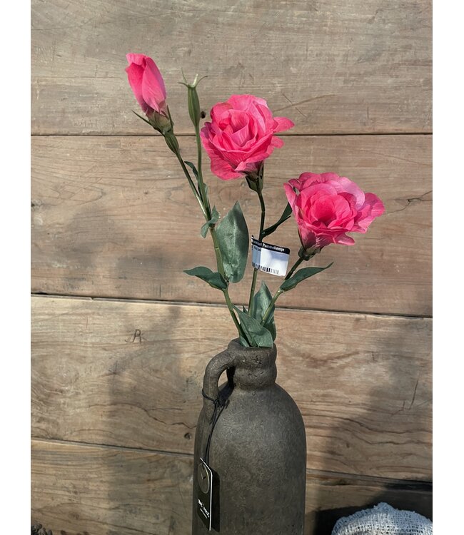Roze tak - lysianthus