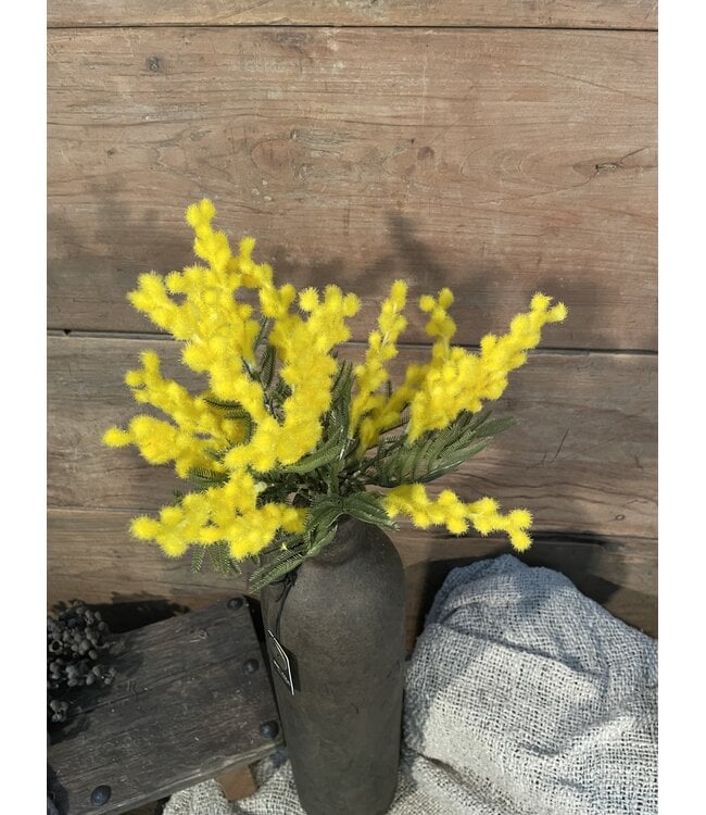 Countryfield ### Bosje Mimosa - 3 stelen - 35 cm