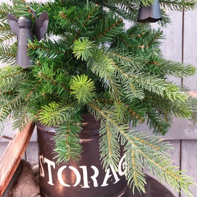 680404-Grandis mini boom binnen - kunst - 63 x 90 cm - excl. verlichting en pot