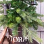 # Grandis mini boom binnen - kunst - 63 x 90 cm - excl. verlichting en pot