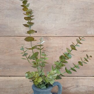 ~Bruin/groene eucalyptustak 81 cm