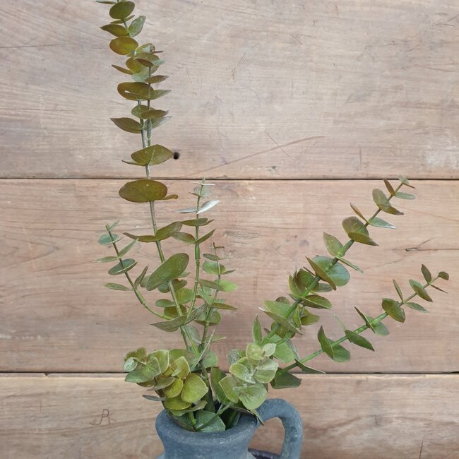 ~Bruin/groene eucalyptustak 81 cm