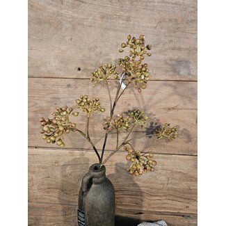 ## Rozebottel - Rosehip Spray 12fruit 78cm
