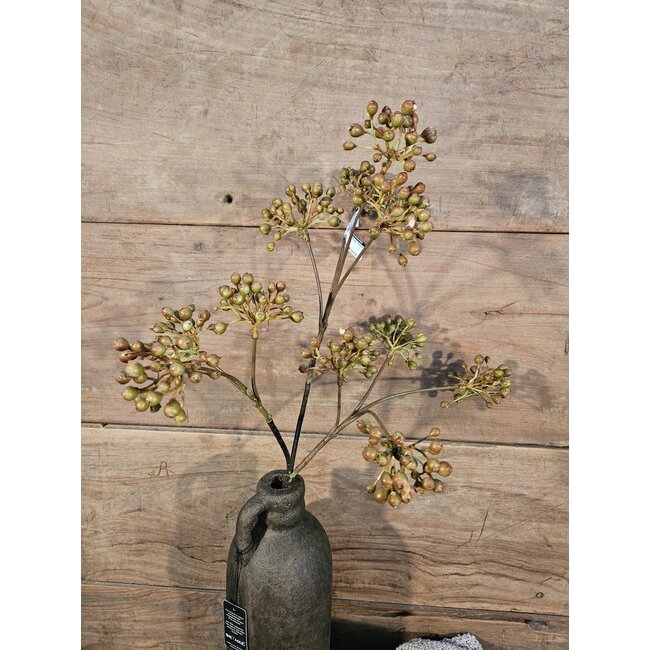 ## Rozebottel - Rosehip Spray 12fruit 78cm
