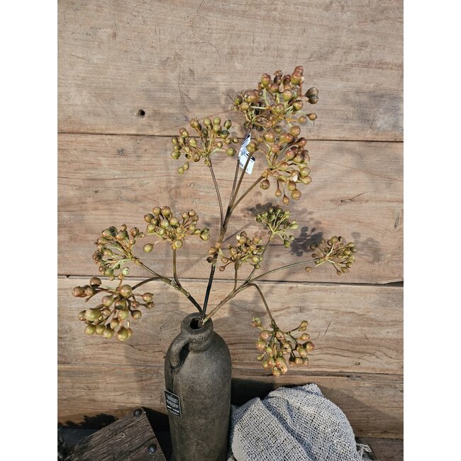 ## Rozebottel - Rosehip Spray 12fruit 78cm