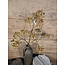 ## Rozebottel - Rosehip Spray 12fruit 78cm