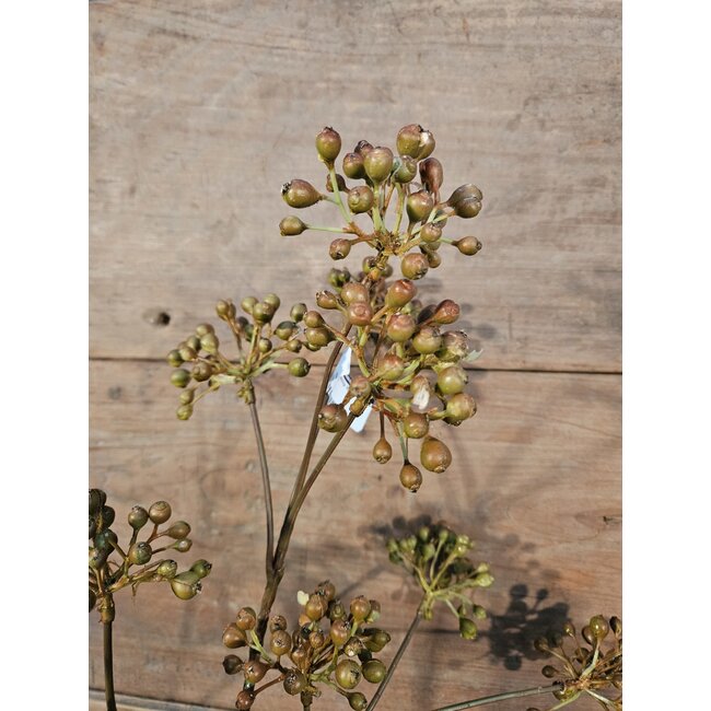 ## Rozebottel - Rosehip Spray 12fruit 78cm