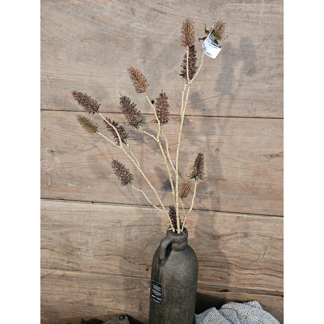 Carduus bruin - kunst - L18B18H97CM