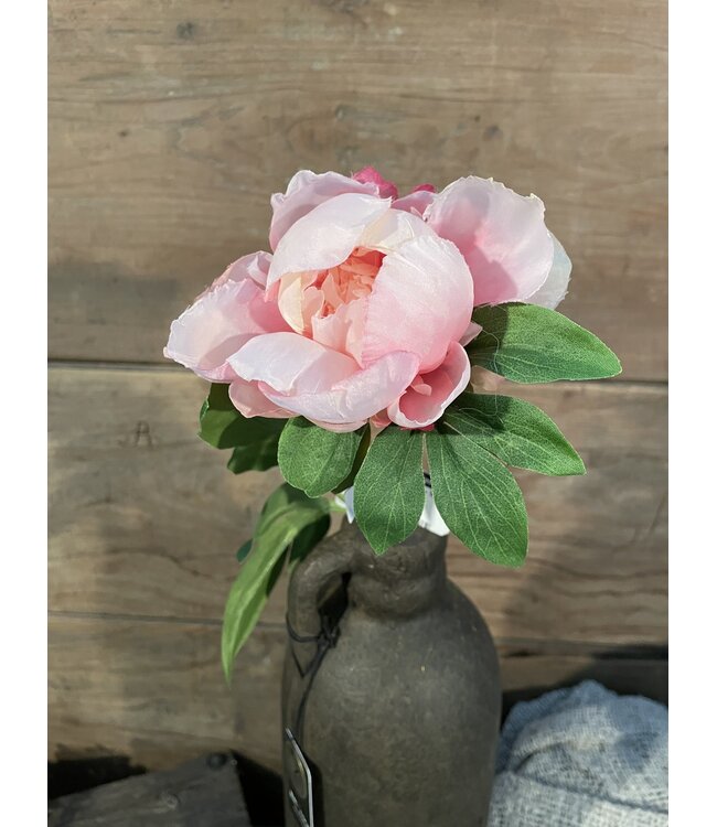 ### pioenroos - Peony Spray 57cm - lichtoze