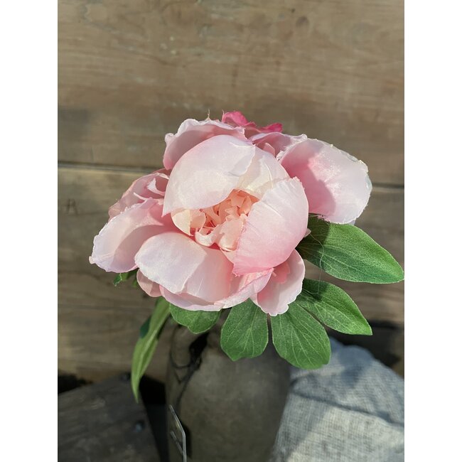 ## pioenroos - Peony Spray 57cm - lichtoze