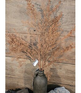Cedar Spray Mixed Orange 115Cm