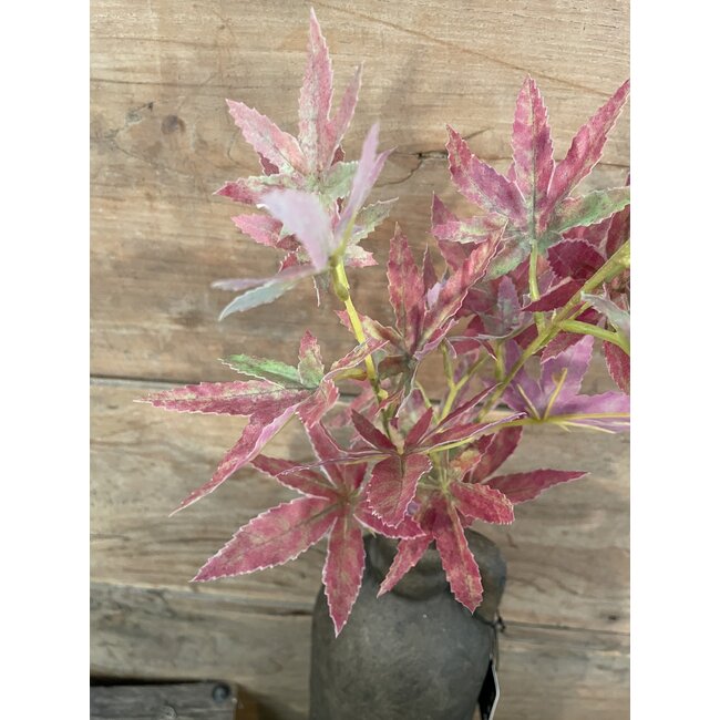 AHORNZWEIG, 72 CM, GRÜN-ROSA - kunst