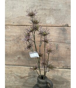 # Thistle Spray x21 68cm