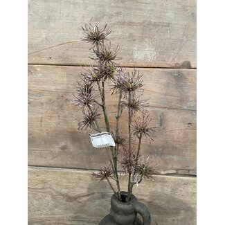 ## Thistle Spray x21 68cm