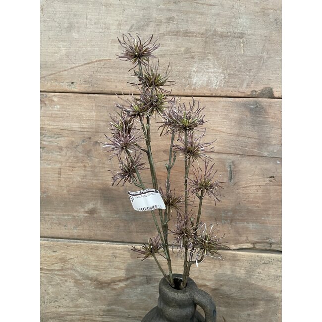 ## Thistle Spray x21 68cm