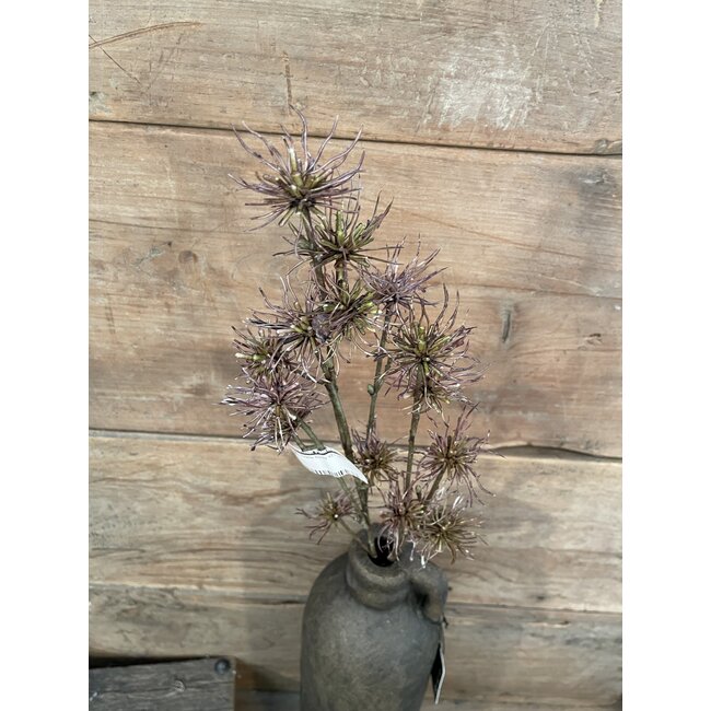 ## Thistle Spray x21 68cm
