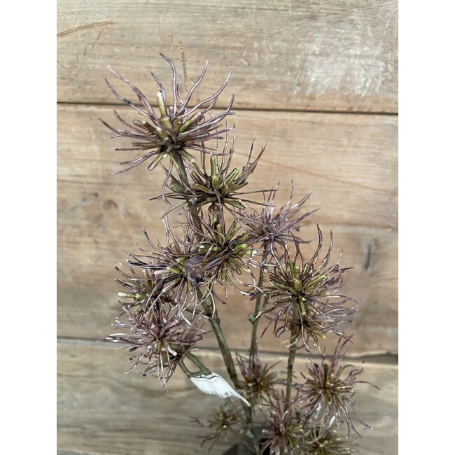 ## Thistle Spray x21 68cm