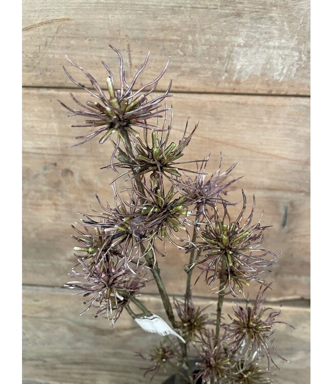 # Thistle Spray x21 68cm