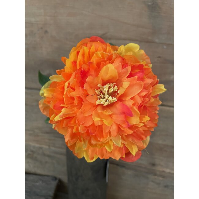 pioen oranje - 68 cm