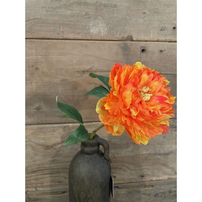 pioen oranje - 68 cm