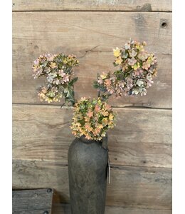 # Bouvardia Stem Brown 70 cm