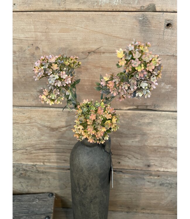 # Bouvardia Stem Brown 70 cm