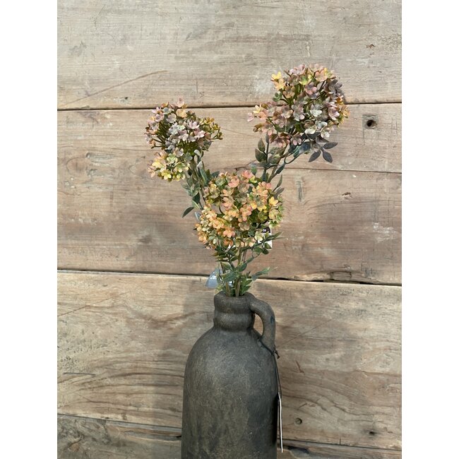 ## Bouvardia Stem Brown 70 cm