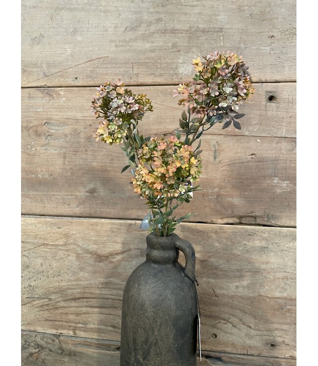 # Bouvardia Stem Brown 70 cm