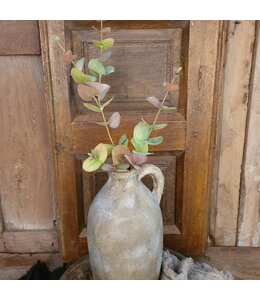 Eucalyptus tak 80 cm