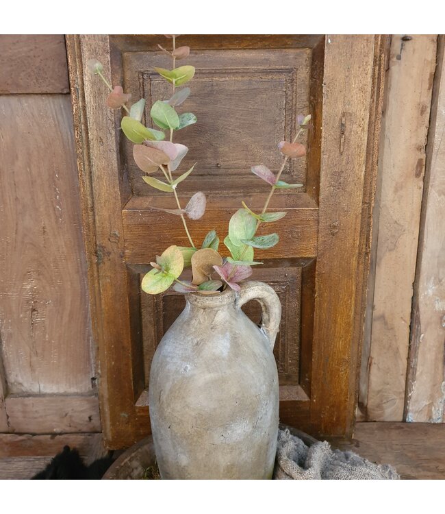Eucalyptus tak 80 cm