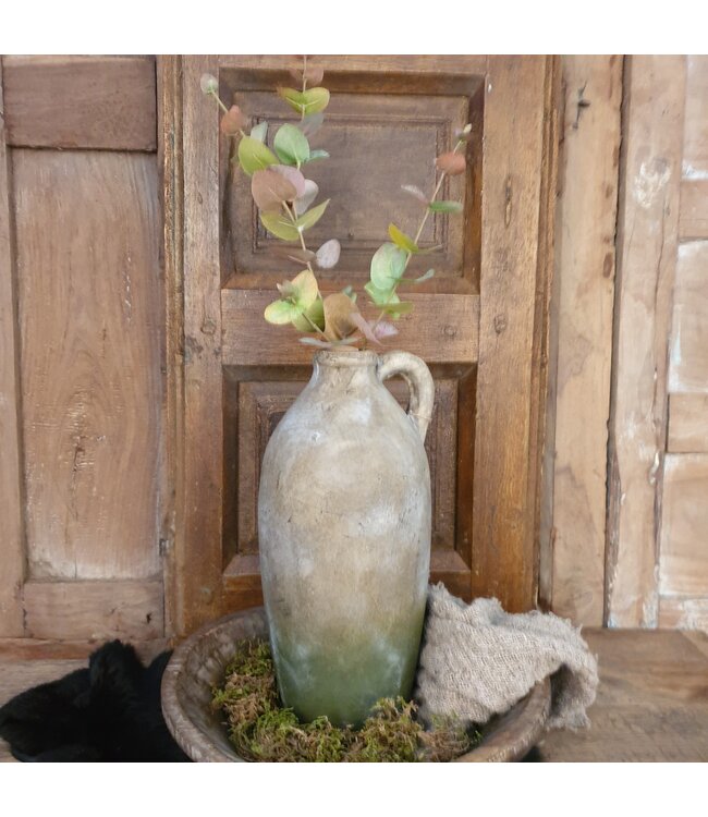 Eucalyptus tak 80 cm