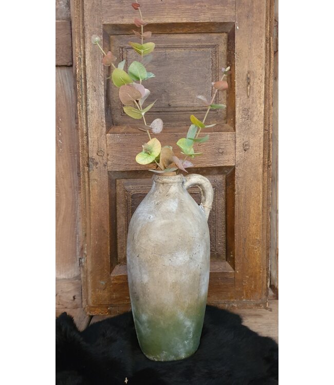 Eucalyptus tak 80 cm