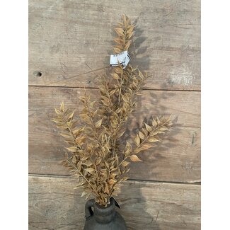 Countryfield bruine tak - 90cm