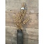 Countryfield bruine tak - 90cm