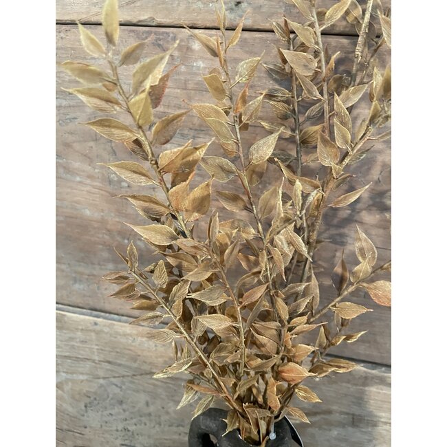 Countryfield bruine tak - 90cm