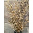 Countryfield bruine tak - 90cm